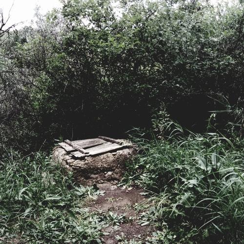 Photo #4738545