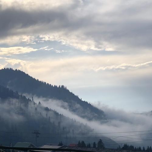 Photo #4738742