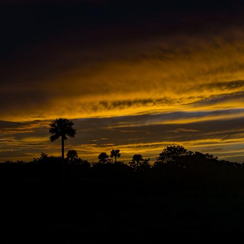 Photo #4738974
