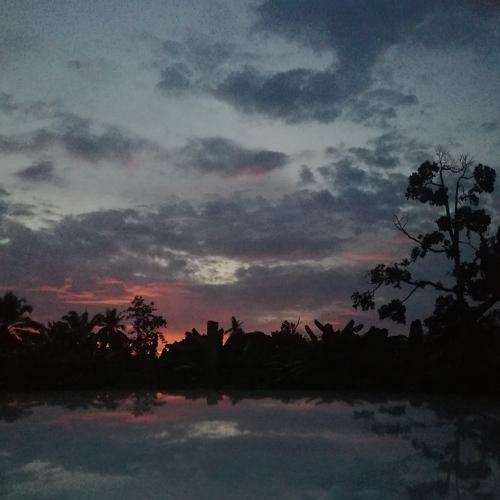 Lake at the evening