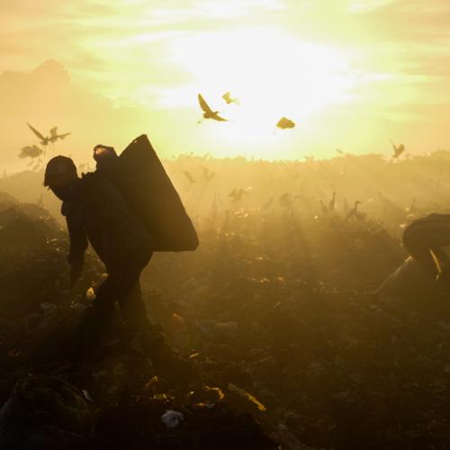 The Scavengers