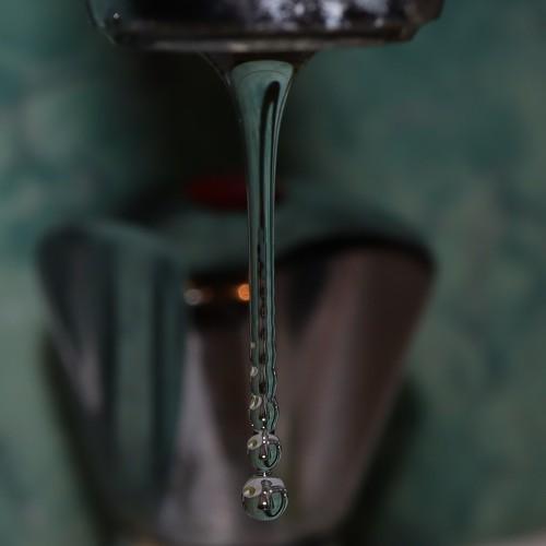 Photo #4740195