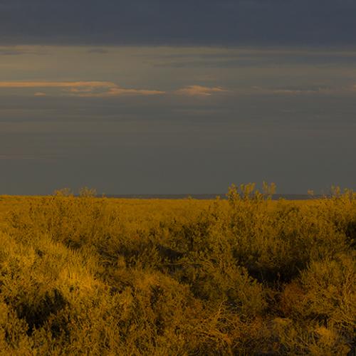 Photo #4740205
