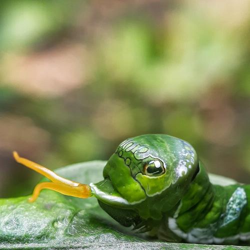 Photo #4740206