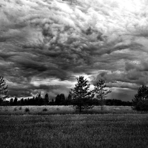 Photo #4740233