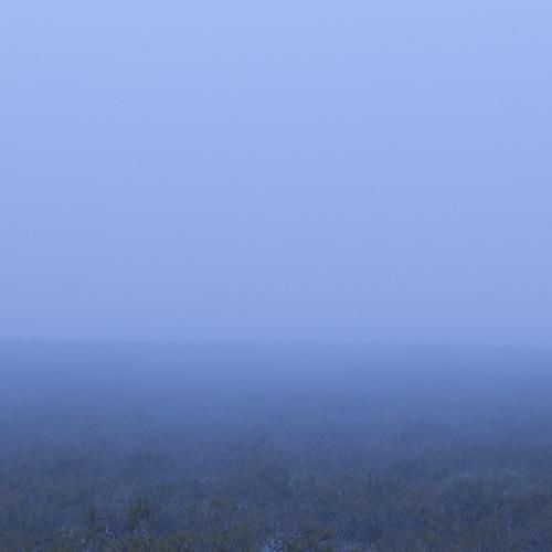 Photo #4740257