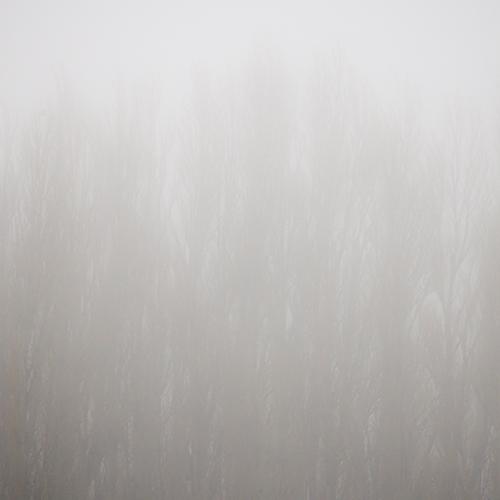 Photo #4740258