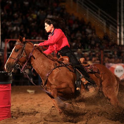 Фотография #4740486