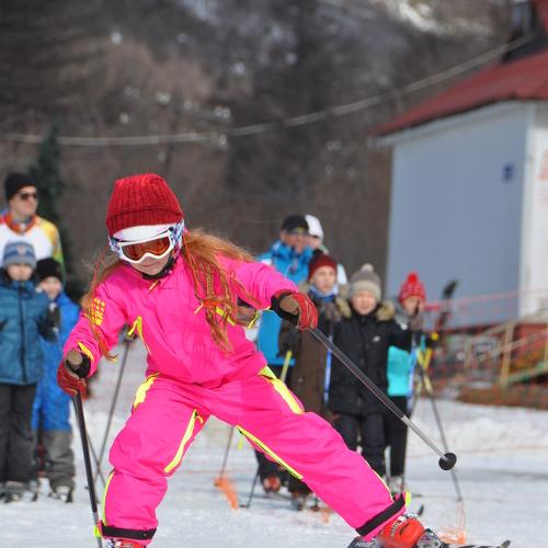 Photo #4740672