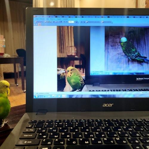 Photo #4740725