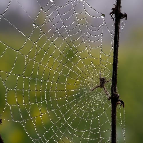 Photo #4740946