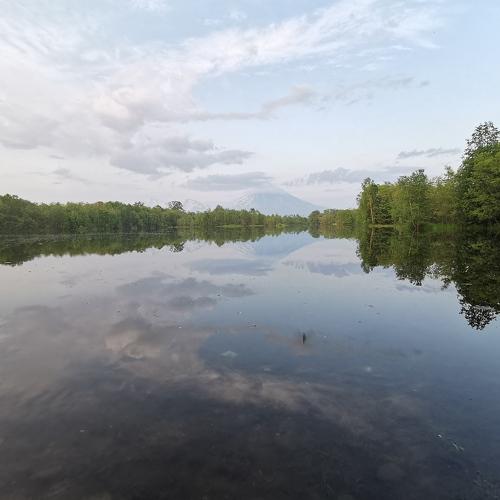 Photo #4741130