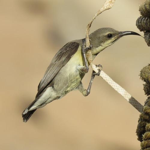Photo #4741587