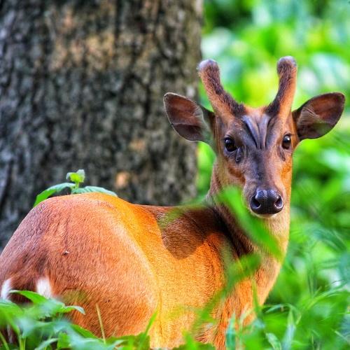 Photo #4741735