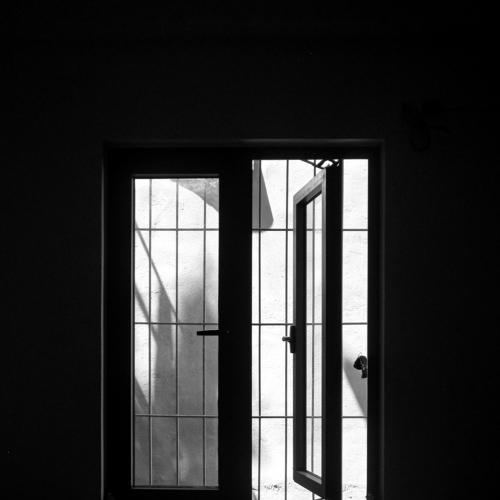 Photo #4741760