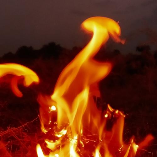 Photo #4742182
