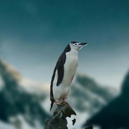 Photo #4742364