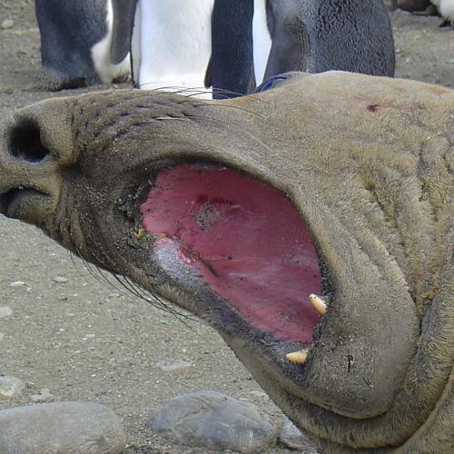 Photo #4742380
