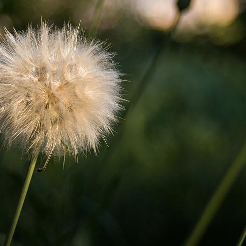Photo #4742519