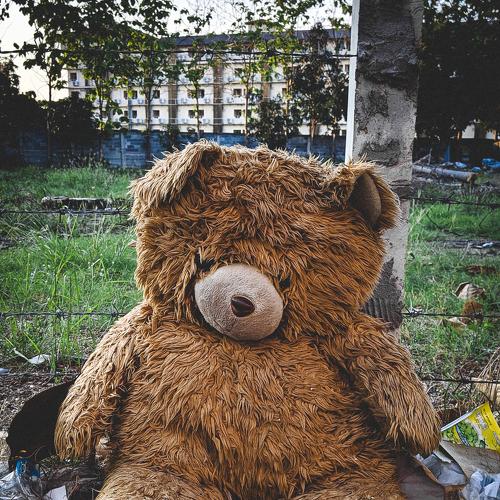 Photo #4742533