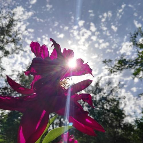 Photo #4742729