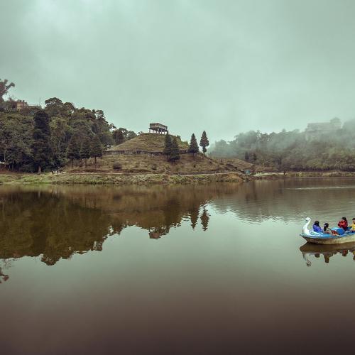 Photo #4742905