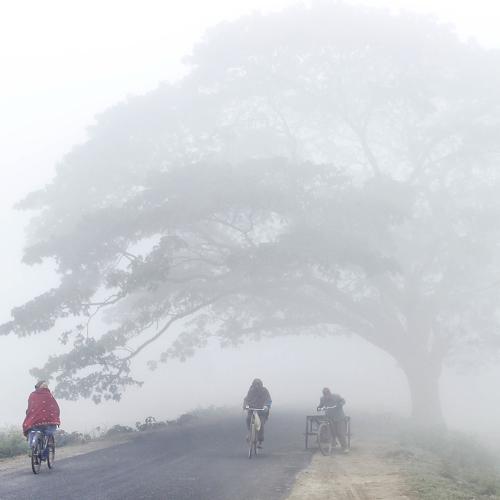 fog