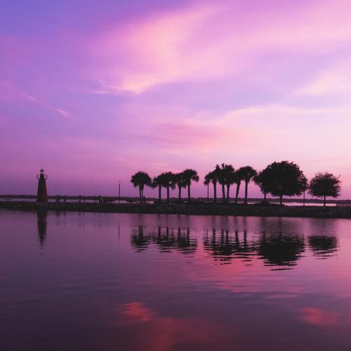 Purple Dream.