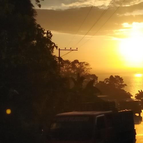 Photo #4743324