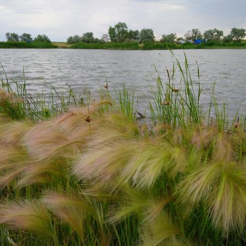 Photo #4743433