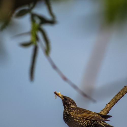 Photo #4743469