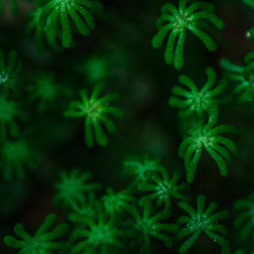 Photo #4743495