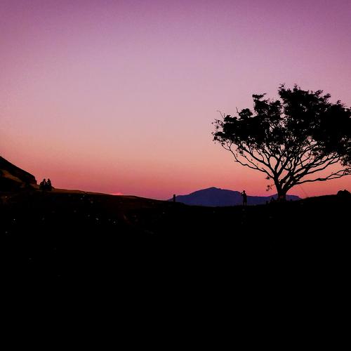 Photo #4743541
