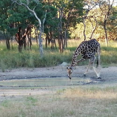Photo #4743618