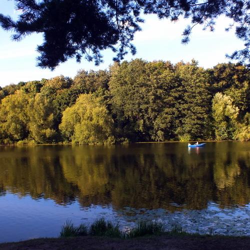 Photo #4744374