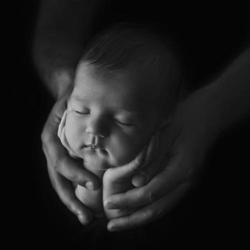 Фотография #4744547