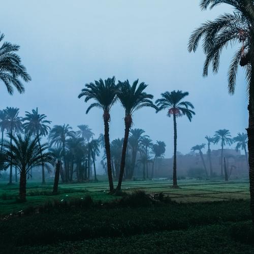 Photo #4744701