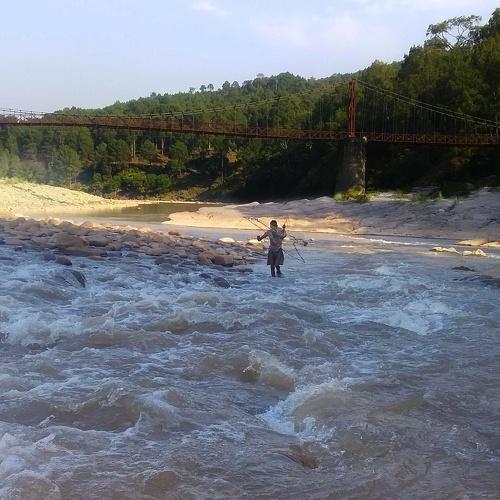 Photo #4744745
