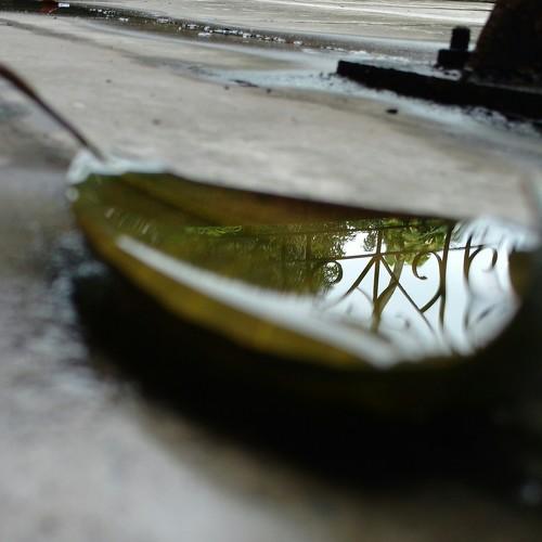 Photo #4745576