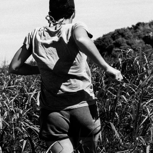 Photo #4745673