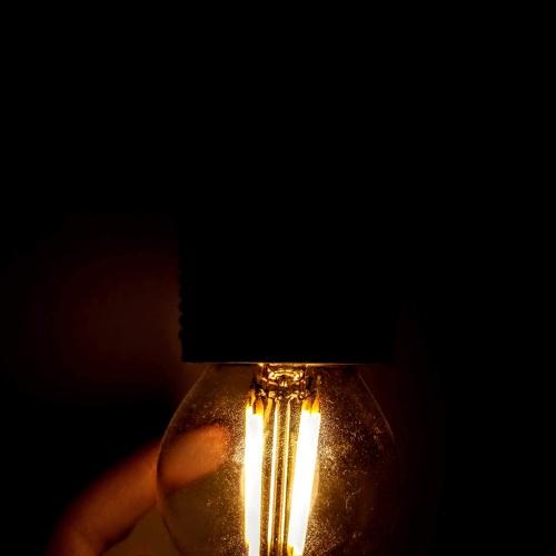 Photo #4745835