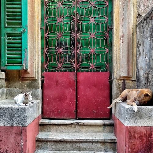 Photo #4746249