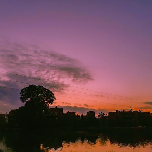 Photo #4746468