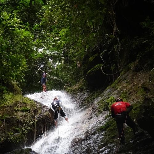Photo #4746649