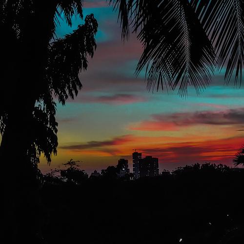 Photo #4746787