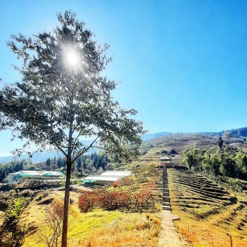 Photo #4746884