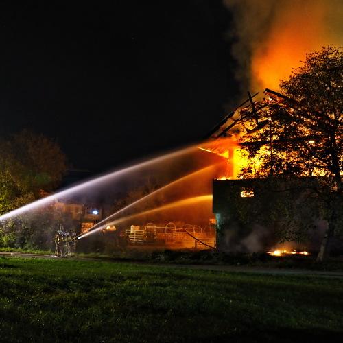 Photo #4747503