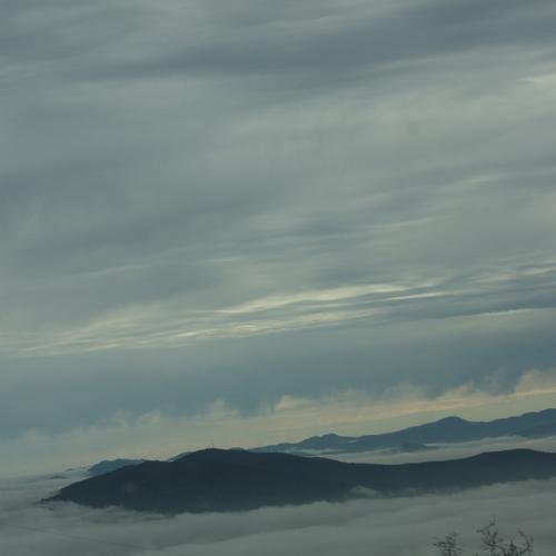 Photo #4747995