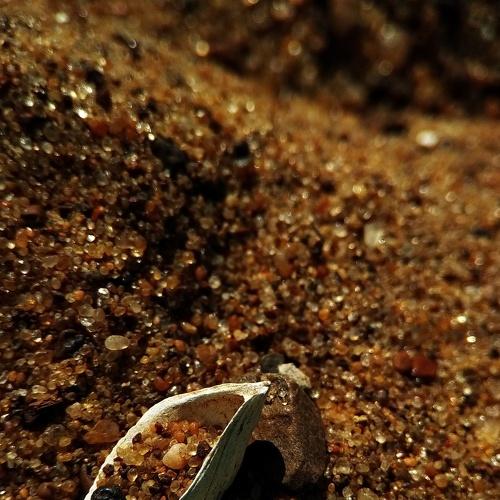 Photo #4748125