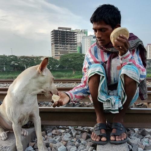 Photo #4748145